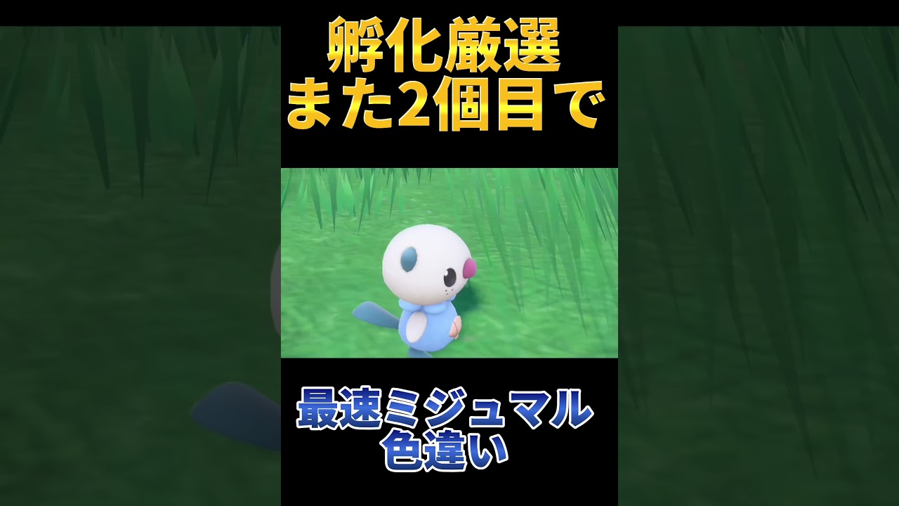 最速でミジュマルの色違いを出す豪運実況者がこちら#ポケモンsv #ダイケンキ #ミジュマル #色違い #ポケモン #ポケモン色違い #shorts