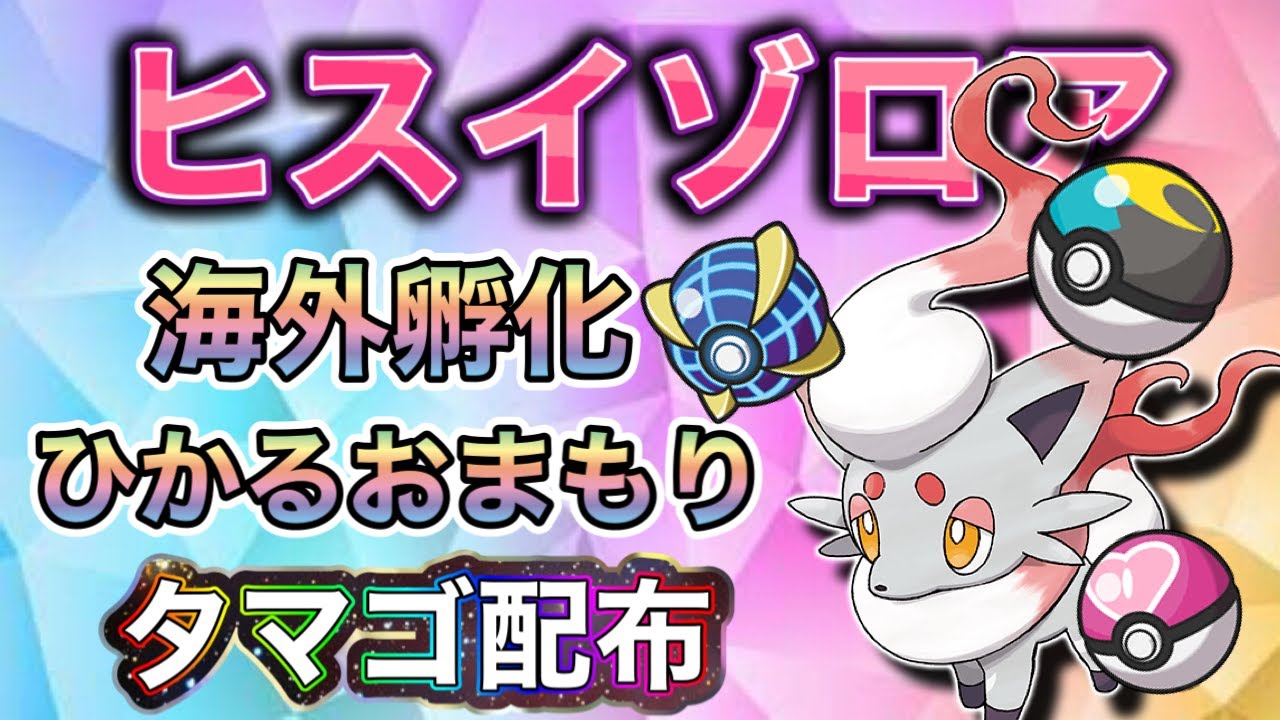 オシャボヒスイゾロアのタマゴ配布！色違いがでるかも♪その他は概要欄【ポケモンSV 実況ライブ配信中】