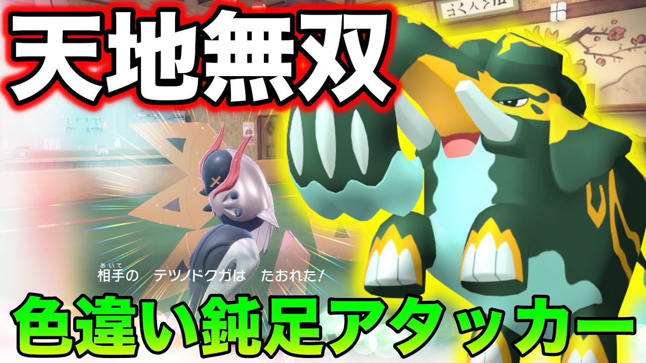 使用率圏外の色違いゾウが対戦環境でパオオオオン！【ポケモンSV】