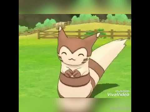 オオタチが可愛く見えてくる