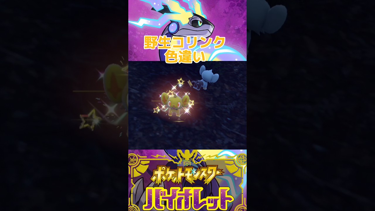野生 コリンク色違い【ポケモンSV】 #shorts