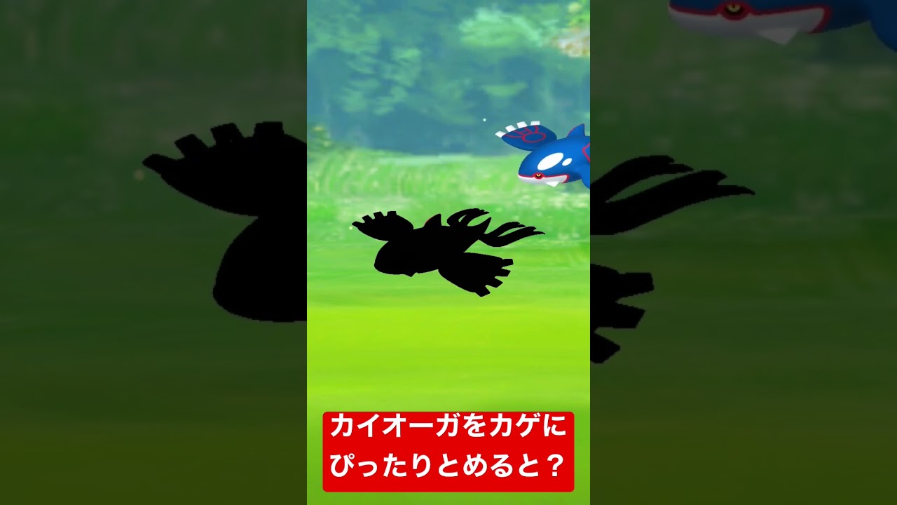 ぴったりゲーム！カイオーガをカゲにぴったりとめると？#ポケモン#カイオーガ