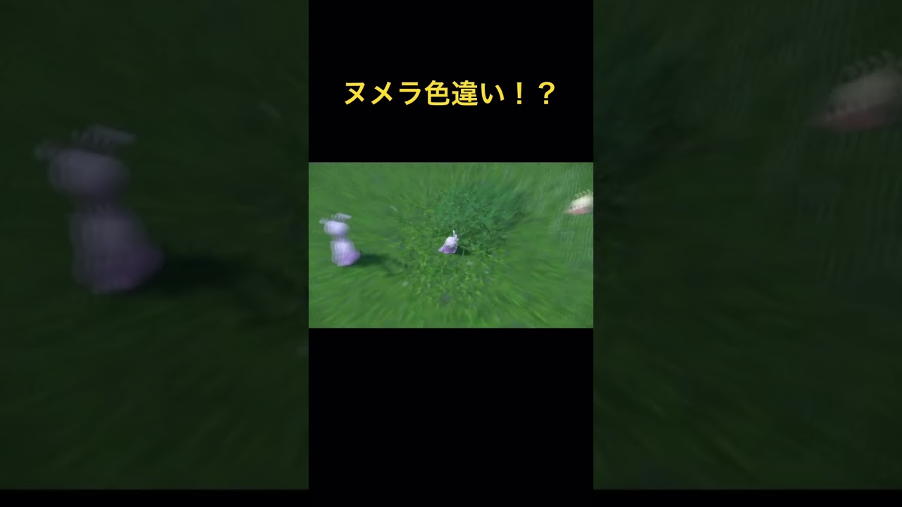 【ポケモンSV】ストーリークリア前に見つけたヌメラの色違い