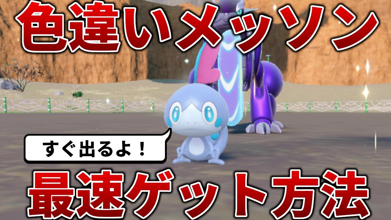 【色違いメッソン】最強のインテレオンをゲットしたら次は色違いのメッソンをゲットしよう【ポケモンSV】