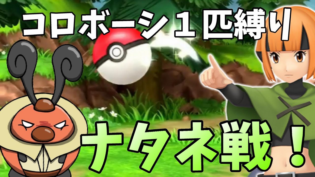 【公開収録※ネタばれ禁止】初見コロボーシ１匹縛り・ナタネ戦！【ポケットモンスター ブリリアントダイヤモンド・シャイニングパール / BDSP】
