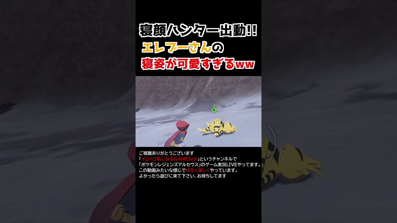 エレブーさんの「寝姿」が可愛すぎるww【Pokémon LEGENDS アルセウス】【寝顔ハンター】