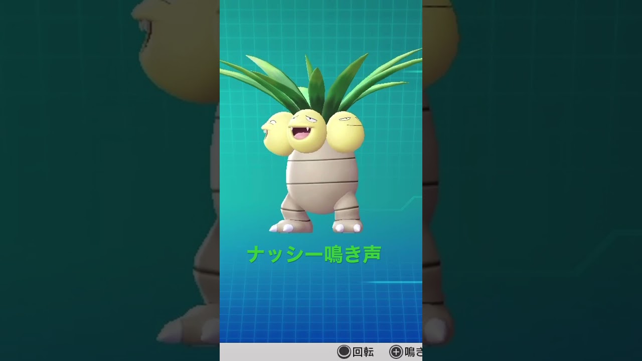 ピカブイ【図鑑NO103】ナッシー鳴き声#ポケモン鳴き声 #図鑑コンプ #レッツゴーピカチュウ #レッツゴーイーブイ#ポケモン生態#ナッシー動き#Exeggutor