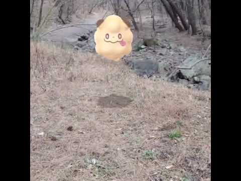 나룸퍼프 ( Swirlix ) ペロッパフ ( 綿綿泡芙 )