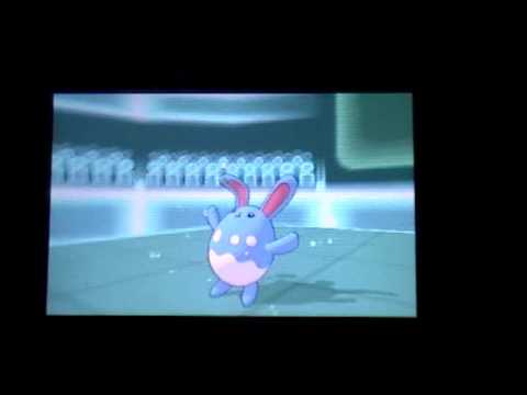 ポケモンXY対戦　　メガハッサム