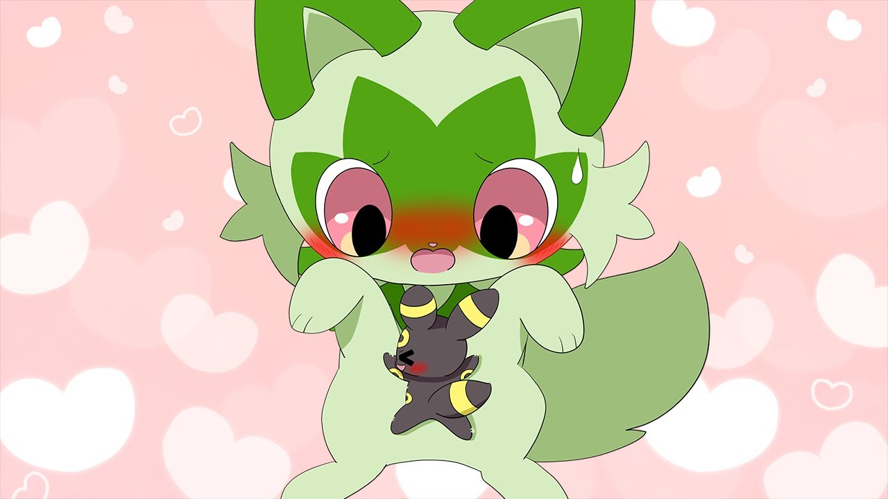 積極的なミニブラッキー！ニャオハはどうする！？｜ポケモンアニメ