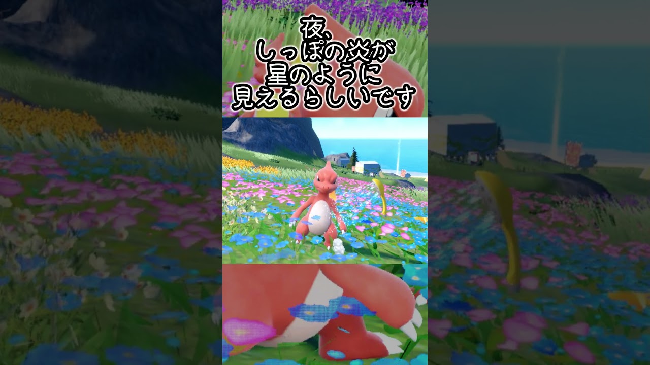 【疲れた人向け】リザード6匹とピクニック【ポケモンSV】#Shorts