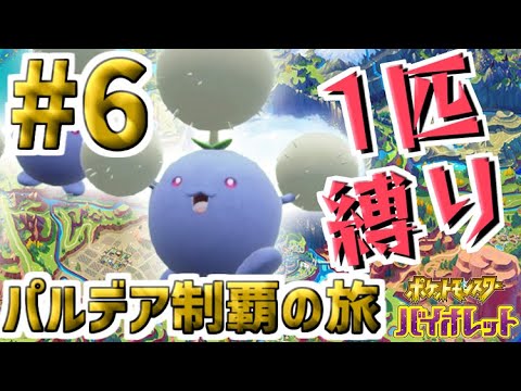 【縛りプレイ実況】ワタッコ1匹でクリアするポケモンバイオレット【6日目】