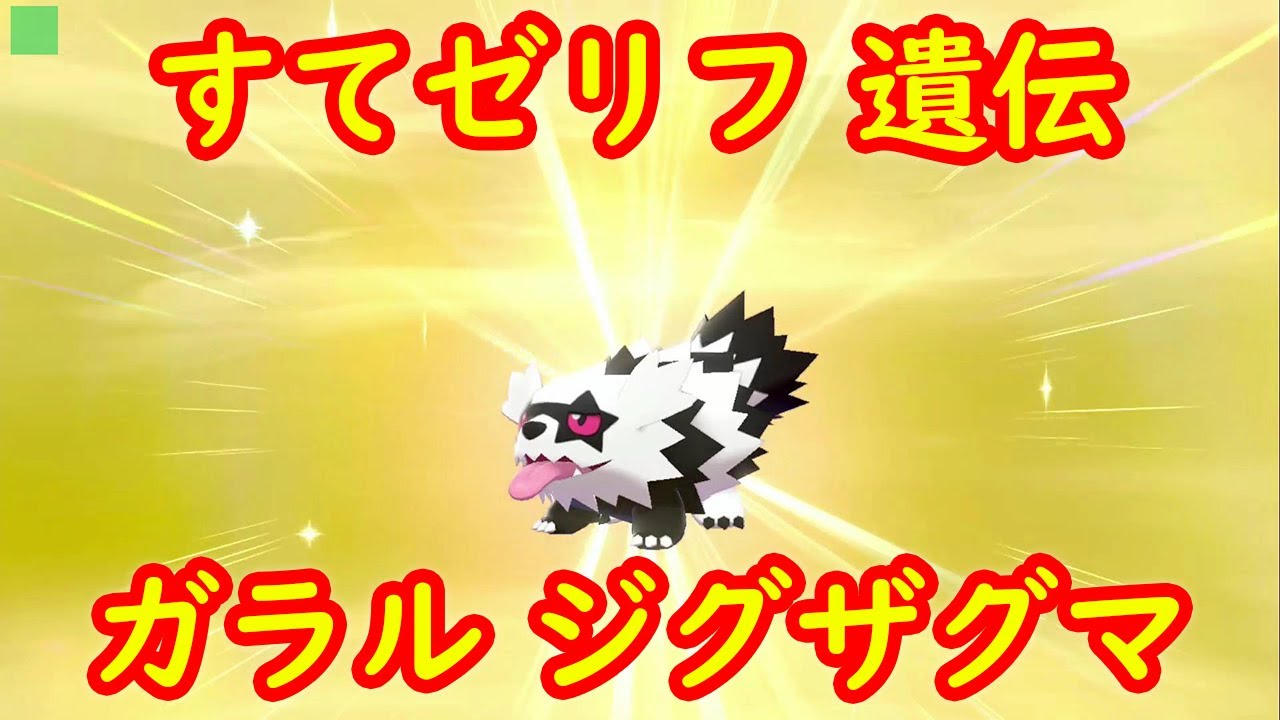 【すてゼリフ】ガラルジグザグマ マッスグマ タチフサグマ 楽な遺伝方法 解説【ポケモン剣盾】