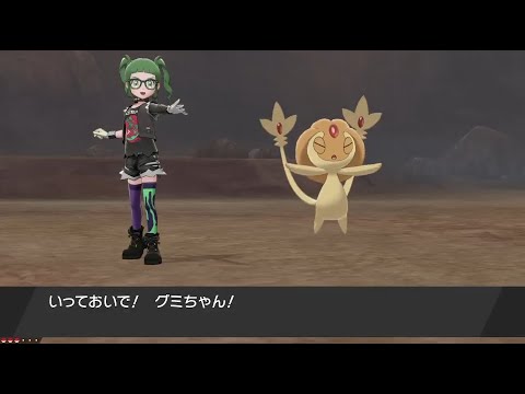 【ポケモン】色違いテラキオン出現シーン【剣盾】