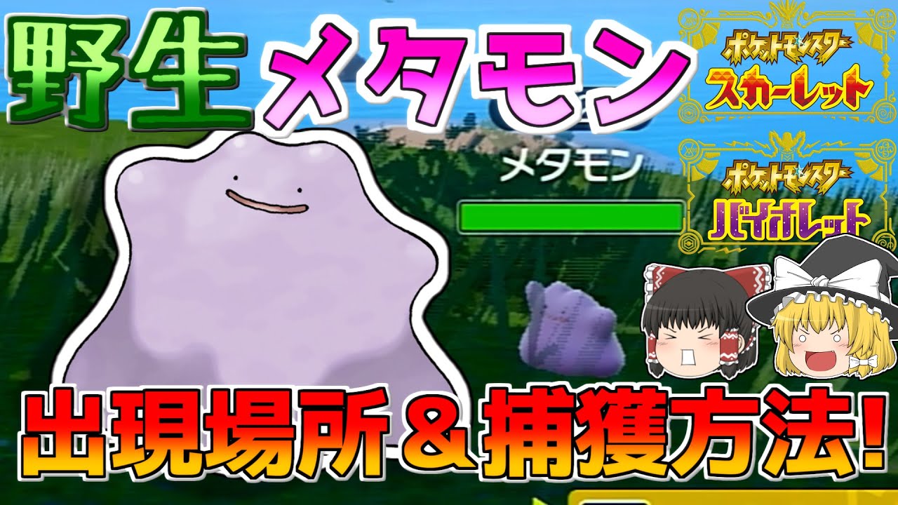 【ポケモンSV】図鑑埋めに！野生のメタモンの出現場所と捕まえ方！！【ゆっくり実況】