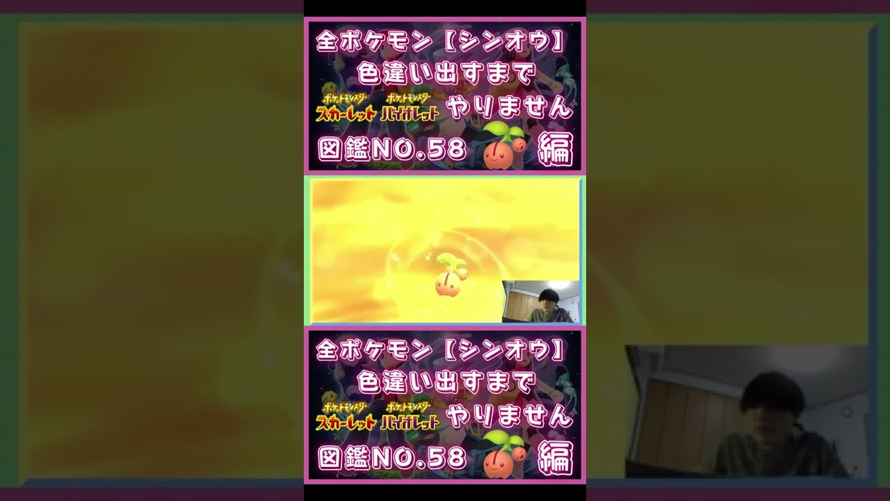 【チェリンボ編】シンオウ全ポケ色違い出すまで新作できない