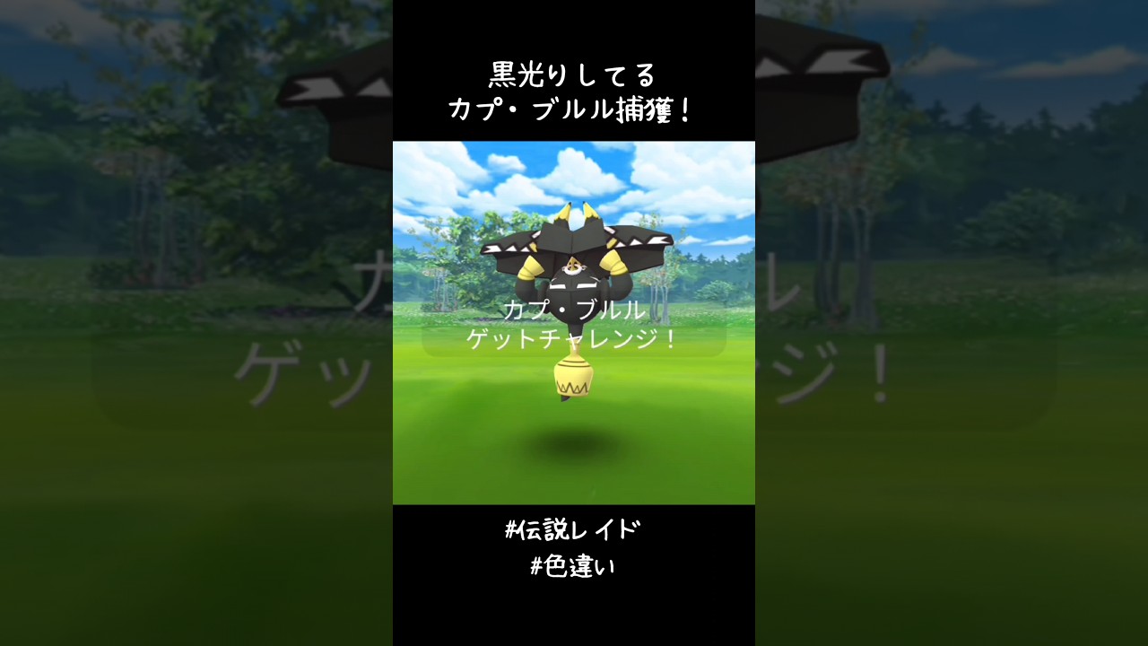 黒光りしてるカプ・ブルル捕獲✨✨✨かっこいいやん👍#ポケモンGO #伝説レイド #色違い