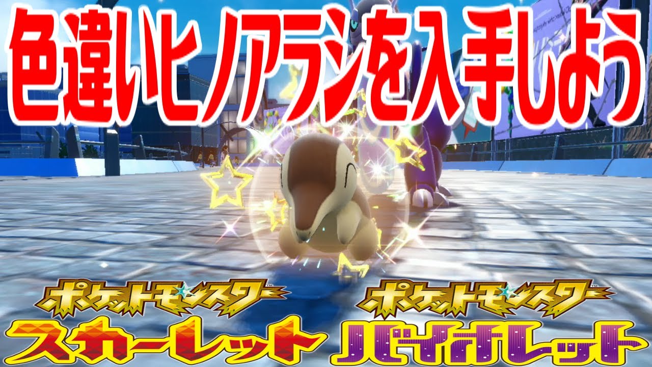 【ポケモンSV】色違いヒノアラシを入手しよう タマゴふか(タマゴ孵化)【ポケットモンスター スカーレット・バイオレット】Pocket Monsters