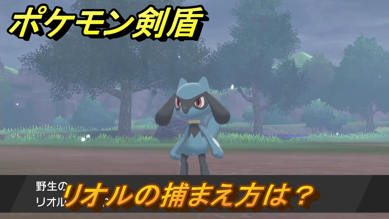 ポケモン剣盾　リオルの出現場所は？オススメの場所は？天気は？ポケモン図鑑コンプへの道！　最新版【ポケモンソード・シールド】