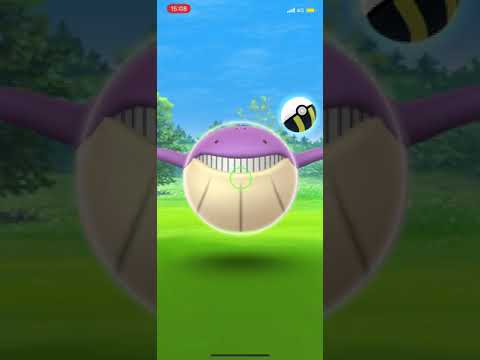 【Excellent】色違いホエルコ/Shiny Wailmer