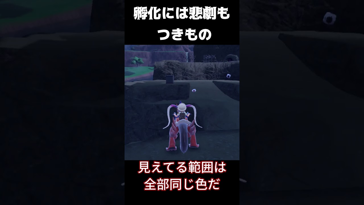 【ポケモンSV】色違いゴースと出会えたけど…悲劇