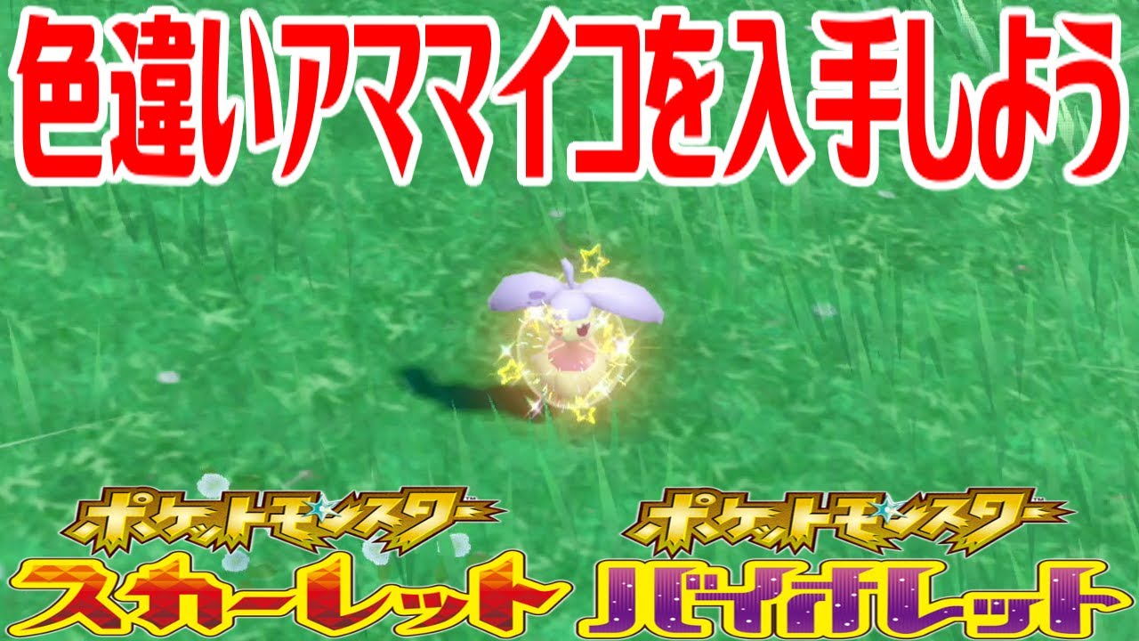【ポケモンSV】色違いアママイコを入手しよう【ポケットモンスター スカーレット・バイオレット】Pocket Monsters