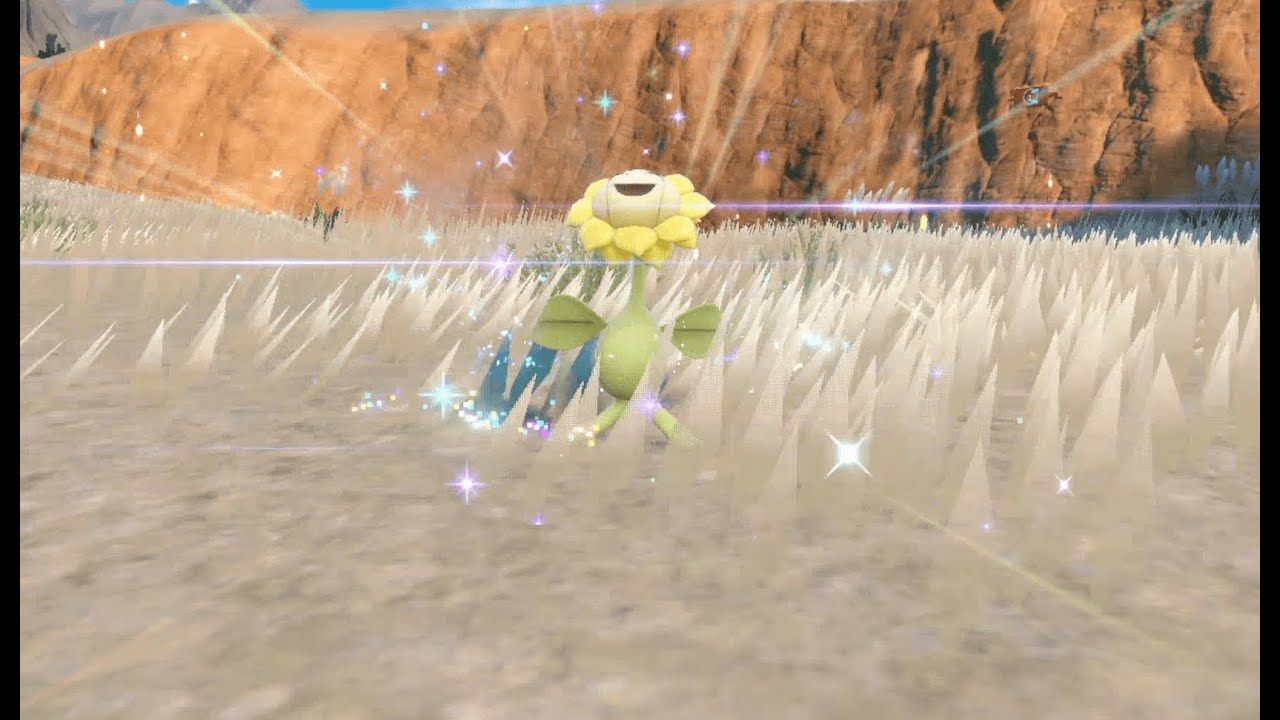 【ポケモンsv】キマワリ色違い