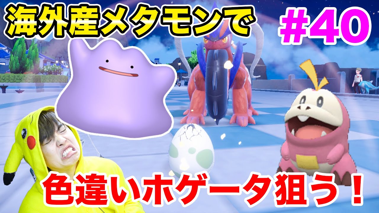 海外産メタモンをゲットして、色違いホゲータを狙うぜ！初めての孵化！！#40【ポケモンスカーレット】