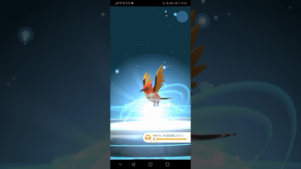 【ポケモンGO】ヤヤコマ色違いを最後まで進化させてみた