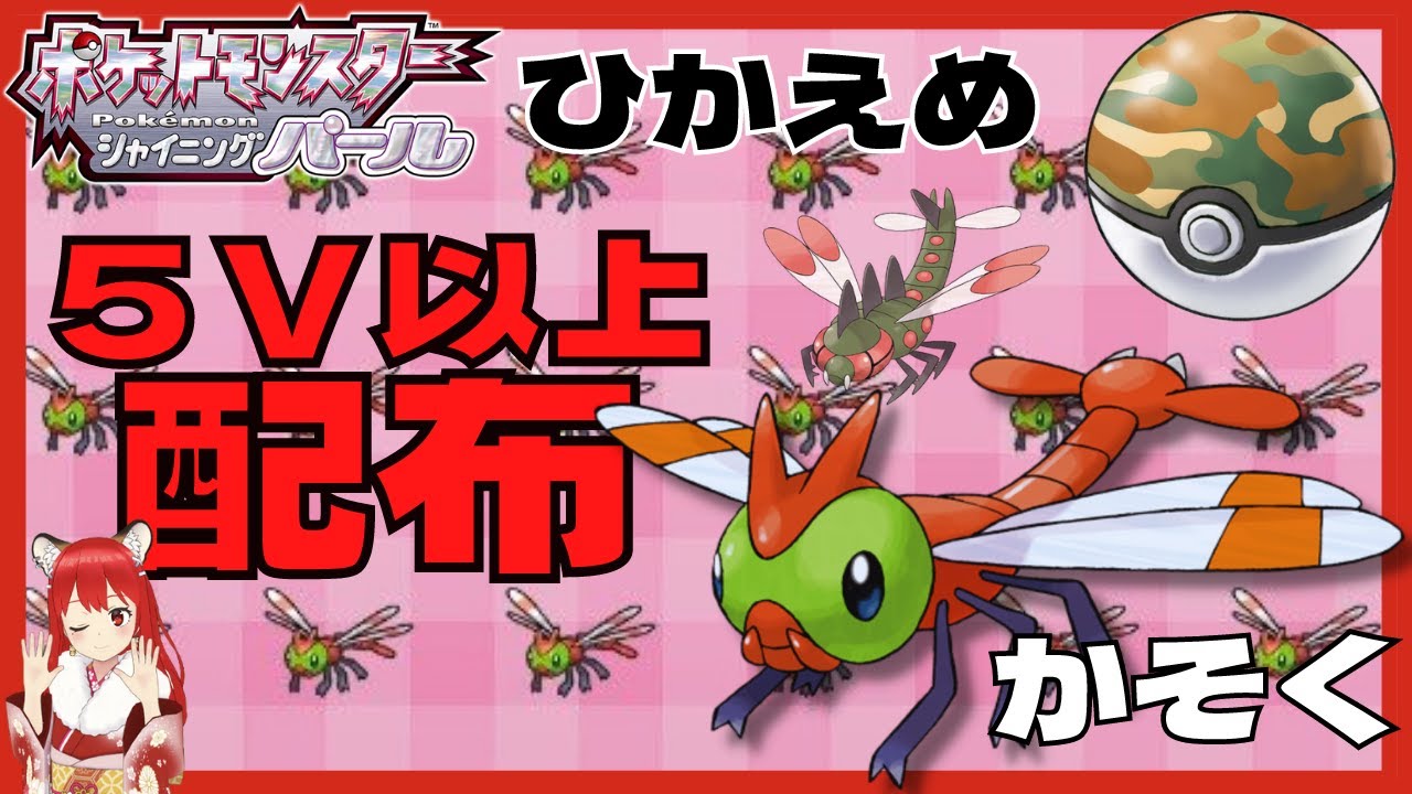 【BDSP】5V以上 ヤンヤンマ 配布 交換会 性格ひかえめ 特性かそく サファリボール サファボ オシャボ【ダイパリメイク】