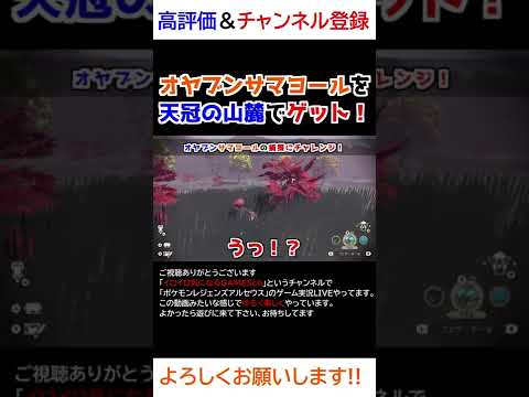 オヤブンサマヨールを捕獲する！【Pokémon LEGENDS アルセウス】