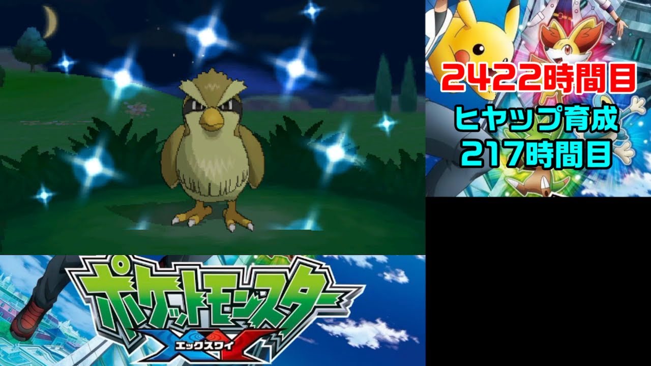 【経過報告】色違いポッポ【最初の森でLv100】