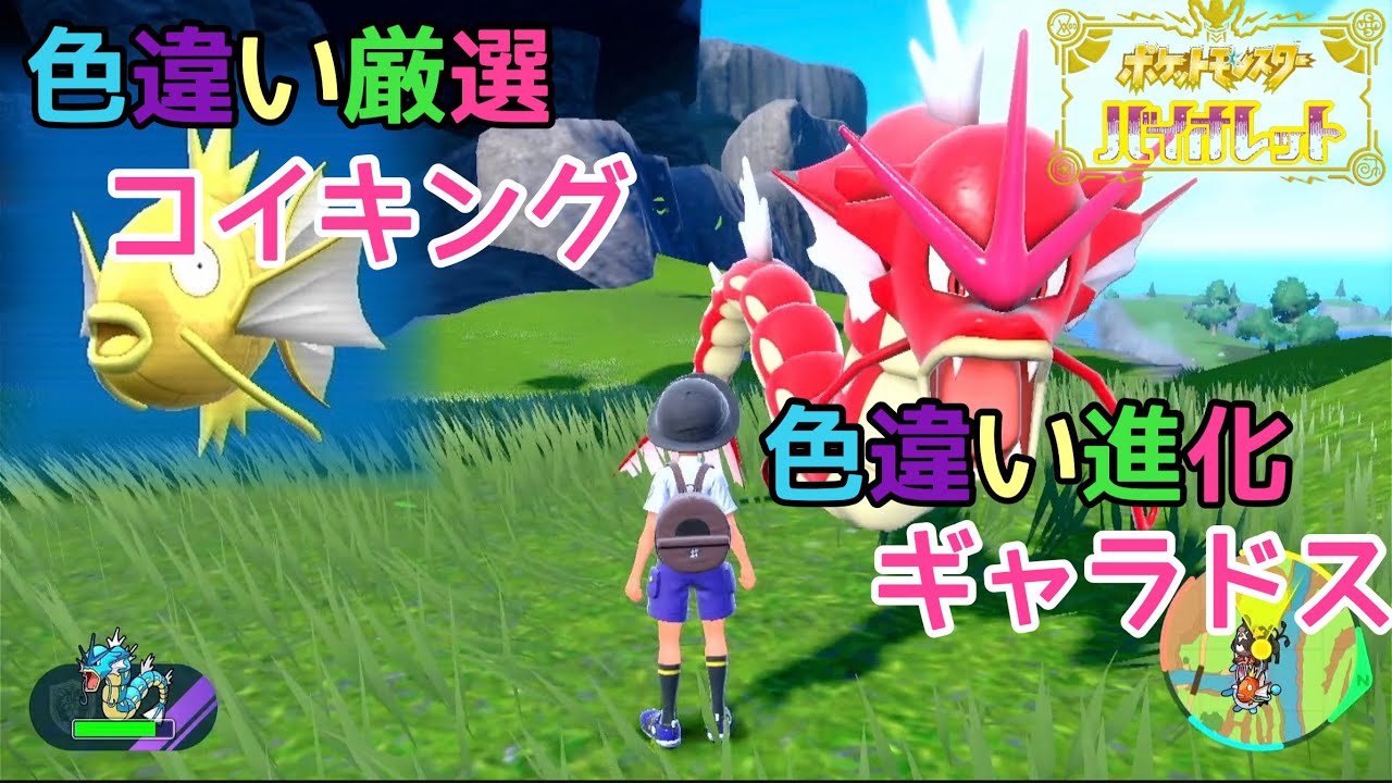 【ポケモンSV】色違い厳選コイキング→色違い進化ギャラドス【バイオレット】色違い厳選#1
