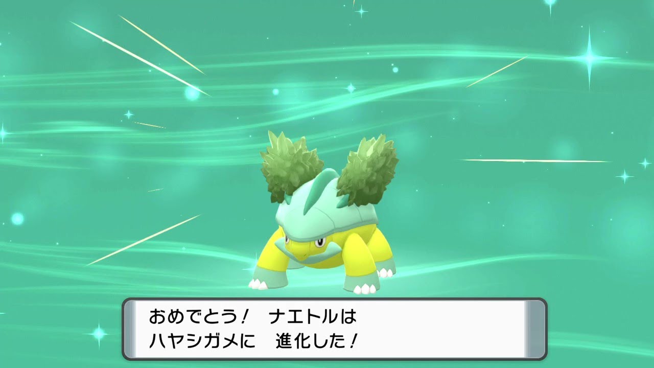 ハヤシガメ　色違い　ポケモンBDSP