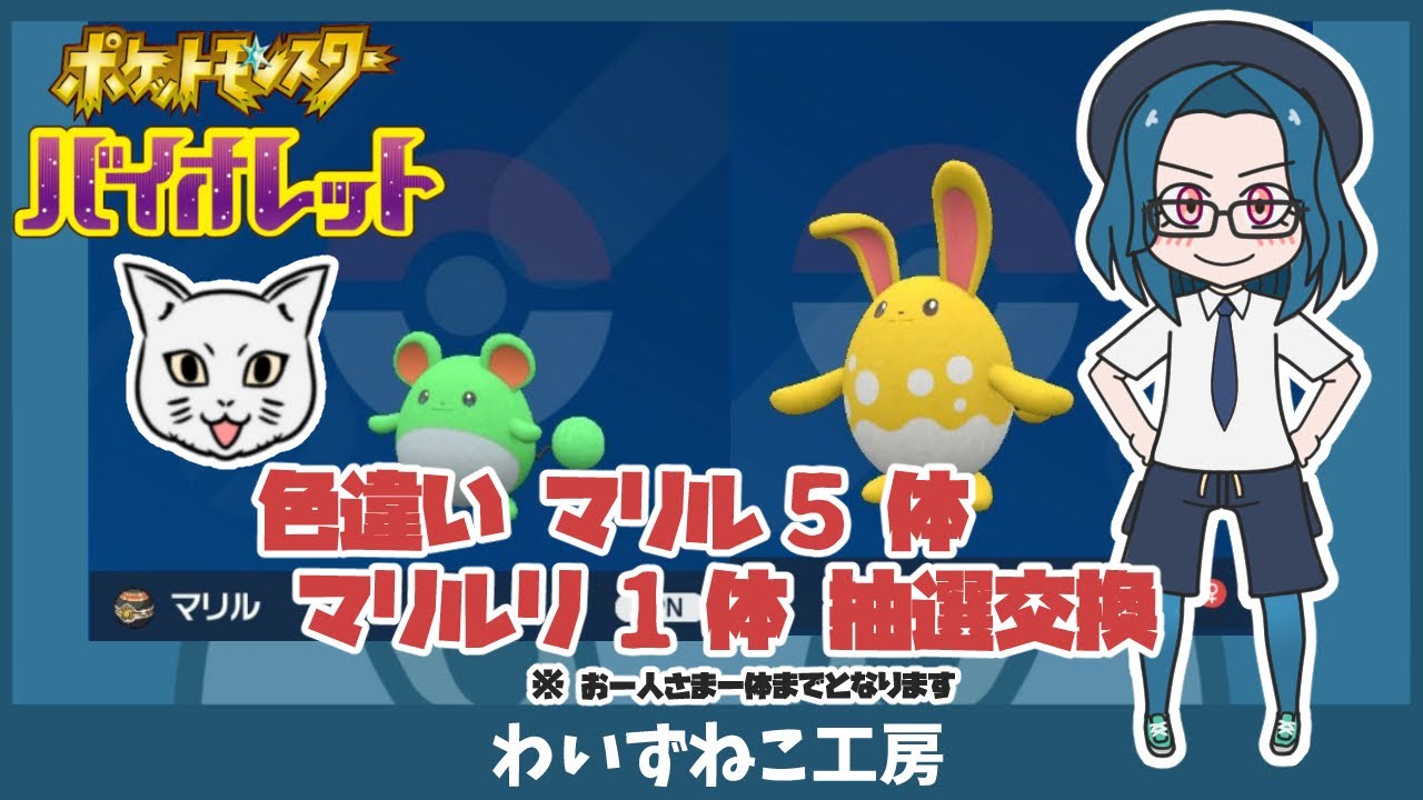 【ポケモンSV】色違い マリルを 5体 マリルリを １体 抽選交換  #ポケモンsv  #ポケモン交換 #マリル #マリルリ #色違い