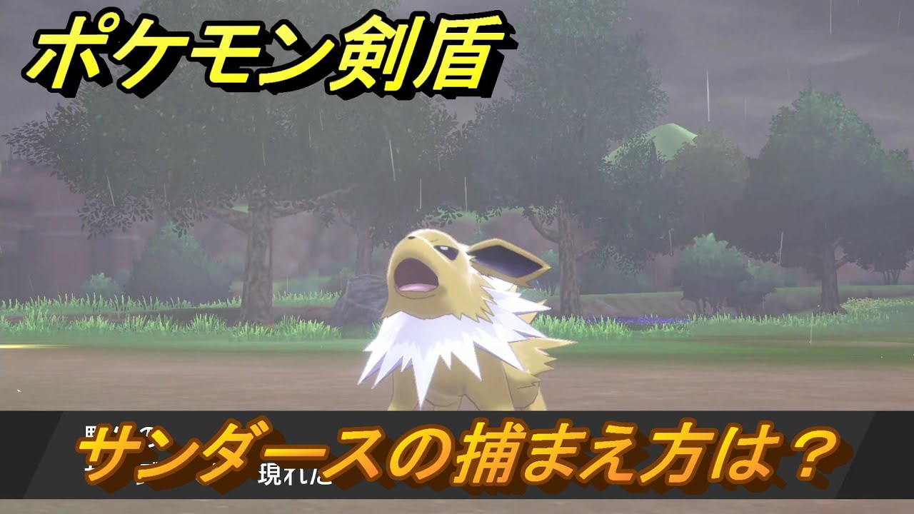 ポケモン剣盾　サンダースの出現場所は？オススメの場所は？天気は？ポケモン図鑑コンプへの道！　最新版【ポケモンソード・シールド】