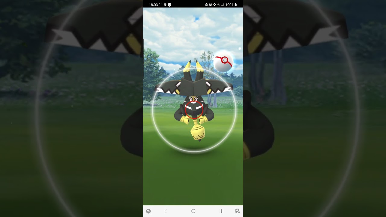 [ポケモンGO] カプ・ブルル色違い初実装でGET！