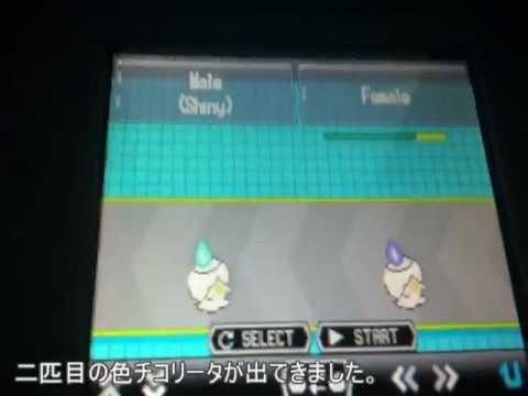 【国際孵化】色違いヒトモシゲット！
