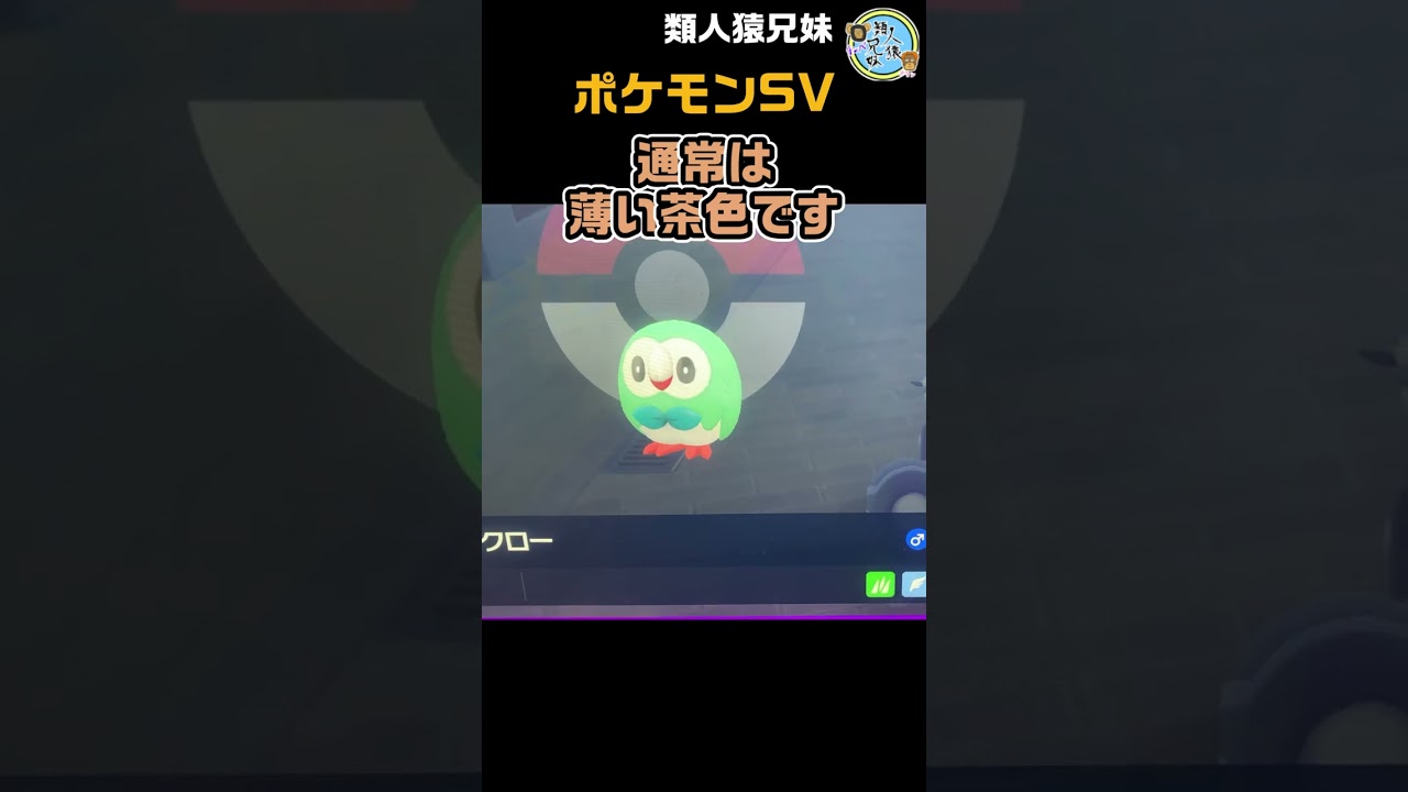 最強のジュナイパーから色違いモクロー　#shorts　ポケモンSV