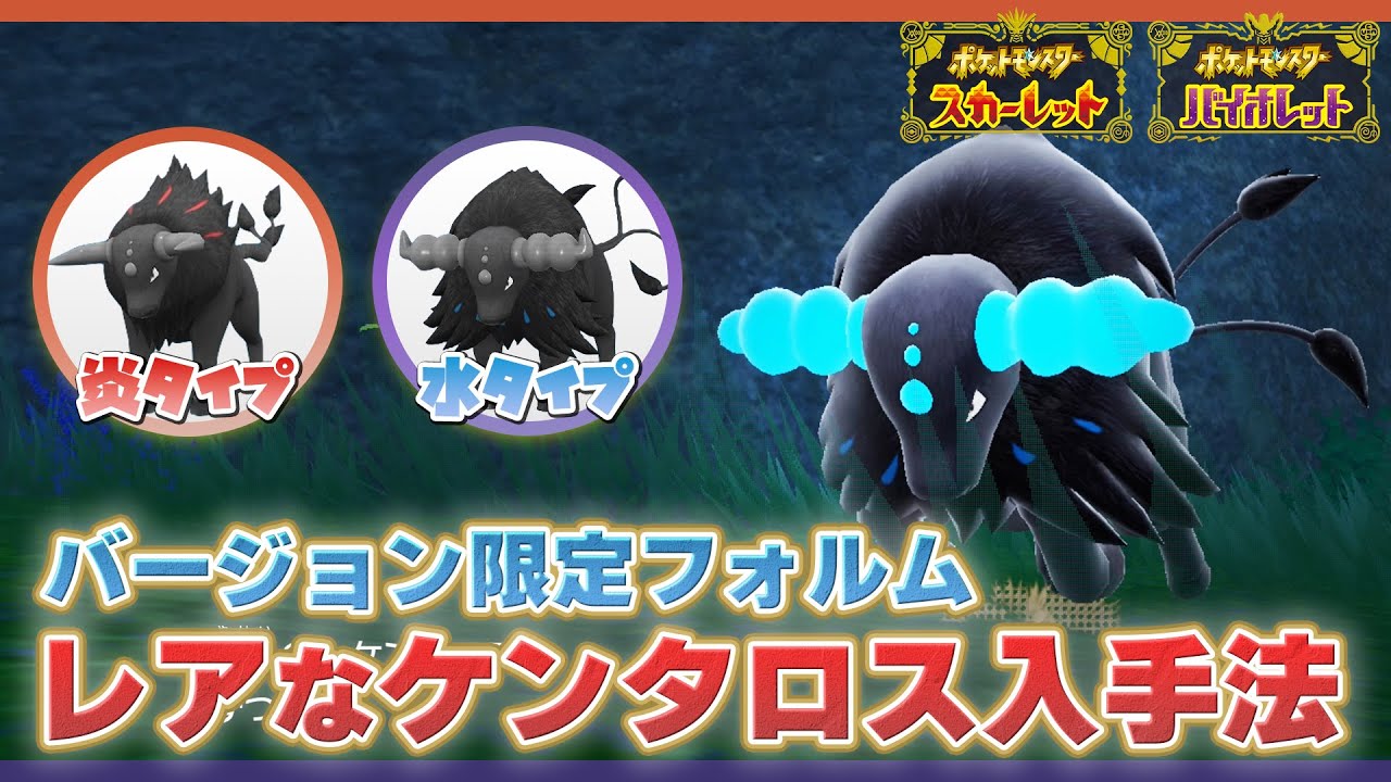 【ポケモンSV】ほのおやみずタイプを持つレアなケンタロスの生息地と簡単な捕まえ方