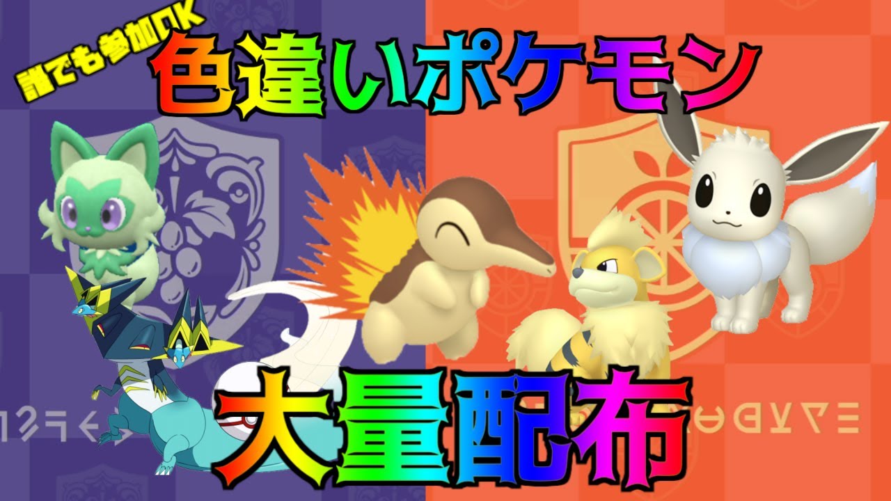 ポケモンSV 色違いポケモン配布会 色違いヒノアラシ条件で配布