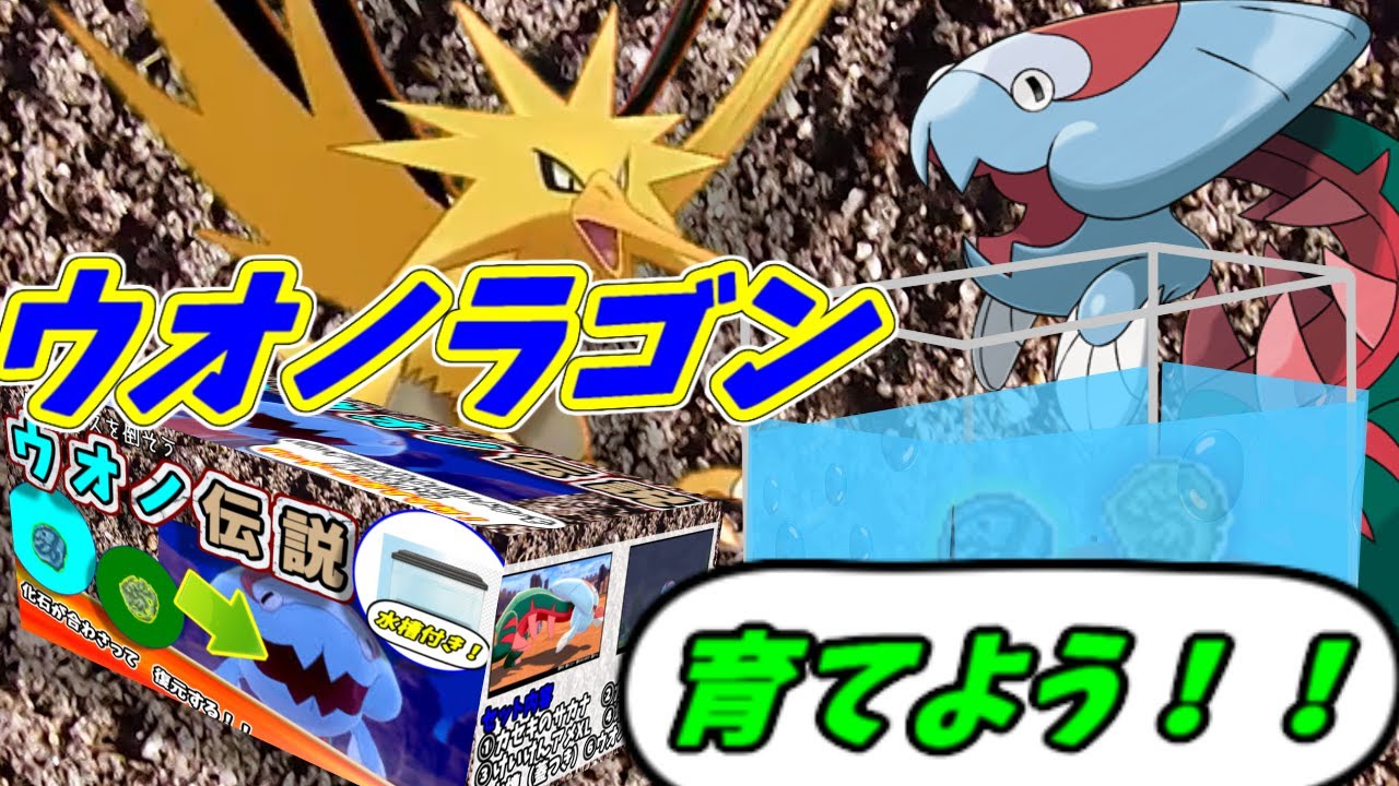 サンダー「ウオノラゴンの自由研究をはじめる」【ポケモン剣盾ゆっくり茶番劇】【ウオノラゴン　サンダー】