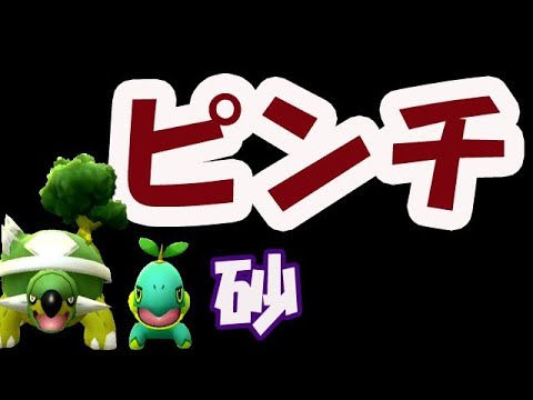 【ポケモンGO】最強ナエトルで砂どんだけ集まった？いきなり〇〇不足でこの後ウルトラボーナス最大のピンチ【コミュニティデイ】