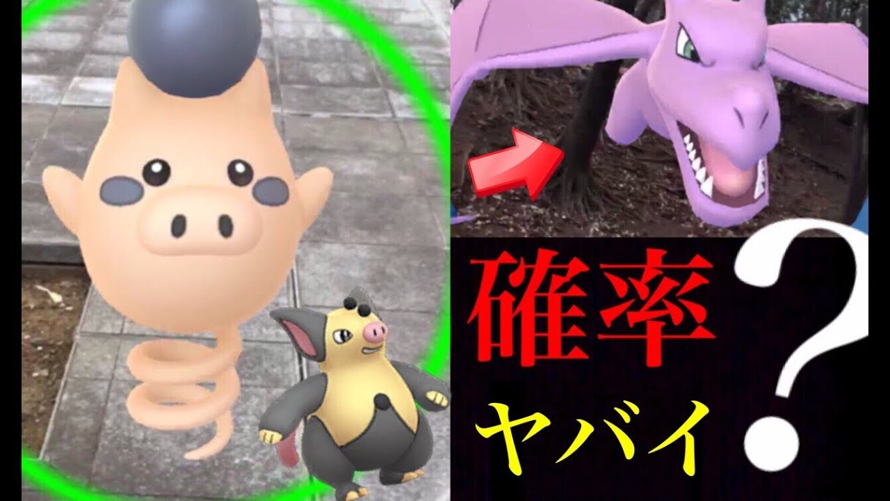 【ポケモンGO】色違いバネブーの確率は！？タップ数は？初日のみんなのゲットはどうだった？【旧正月イベント】