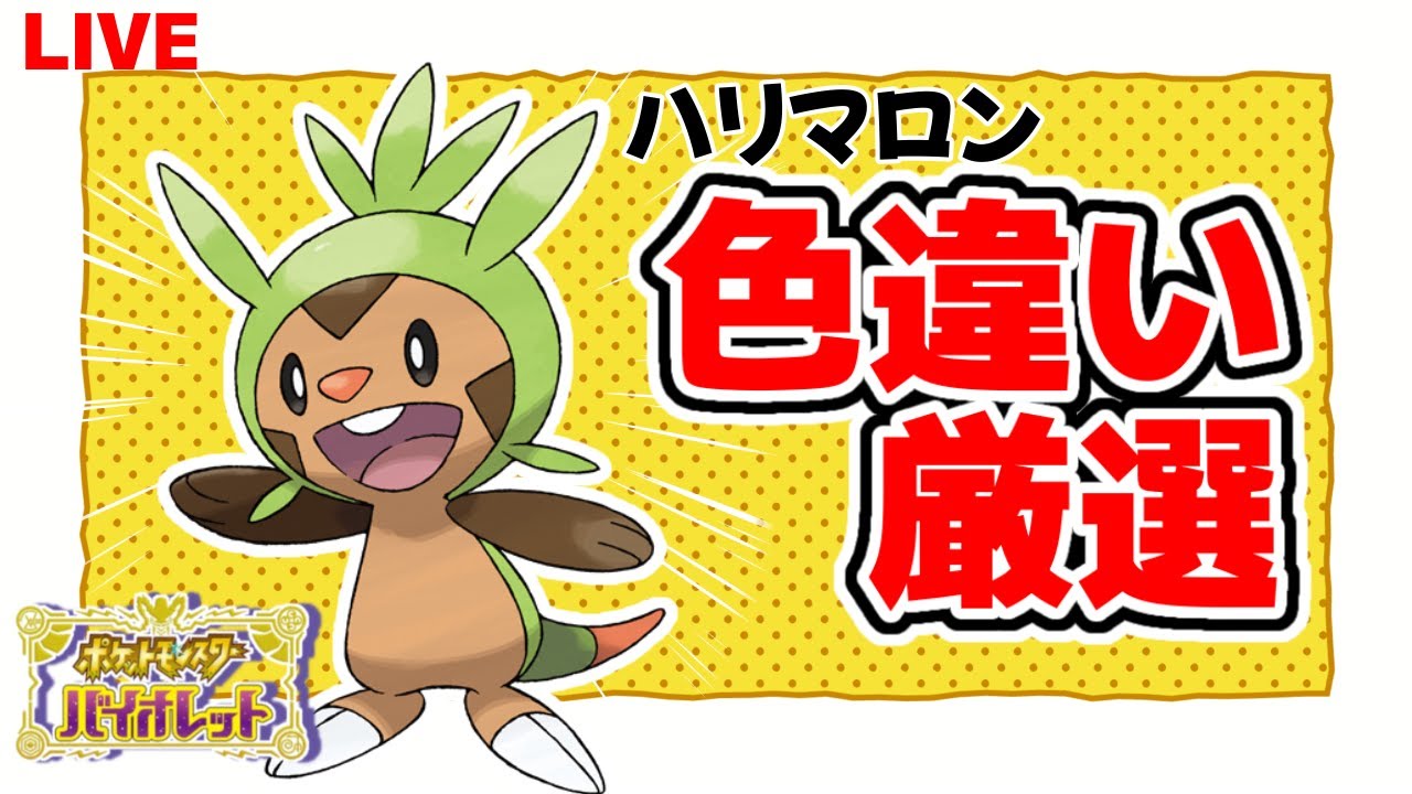 【卵作るとこから】色違いハリマロン孵化厳選【ポケモンSV】