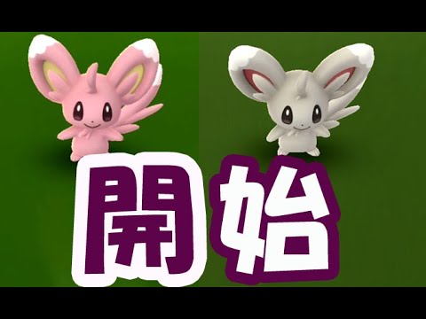 【ポケモンGO】色違いチラーミィ限定リサーチ開始！早速とんでもないの出現【タスクイベント】