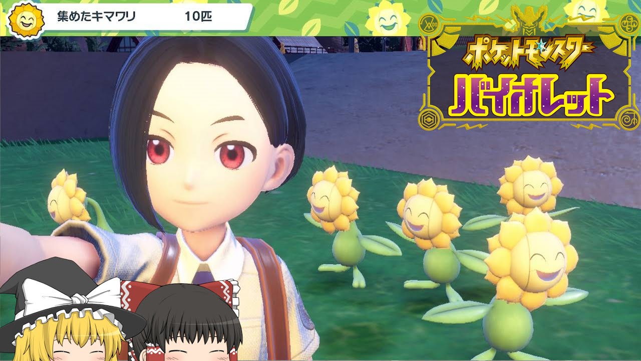 【ポケモンSV】キマワリよ集まれー！！ #14【ゆっくり実況】
