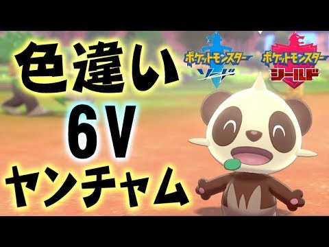 色違い6ｖヤンチャム【ポケットモンスターソード　シールド】#4　剣盾　マジカル交換