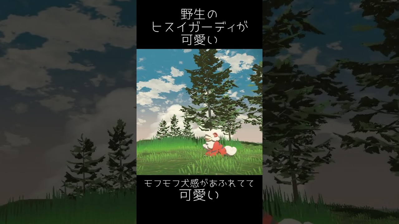 ヒスイガーディがかわいい【ポケモンレジェンズアルセウス】