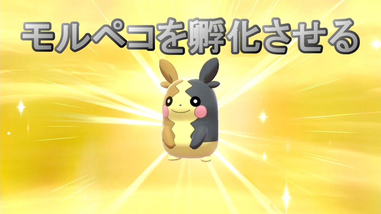 【ポケモン剣盾】モルペコ色孵化厳選２日目